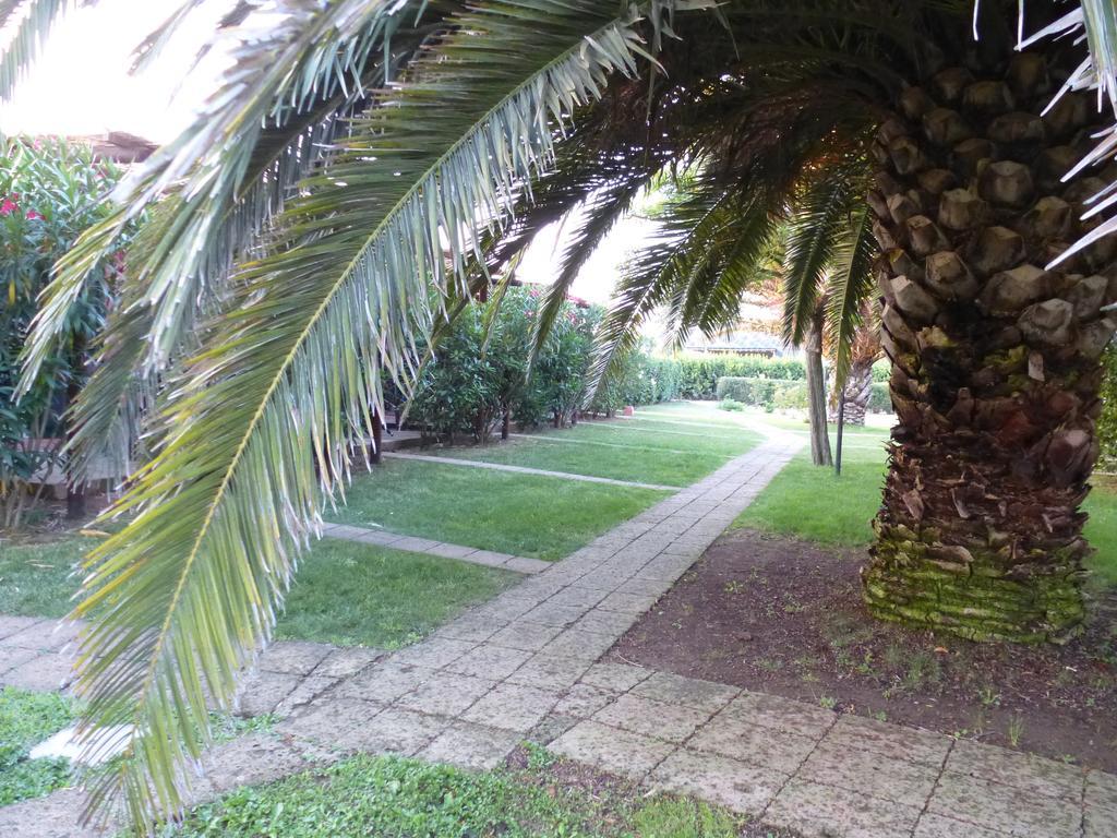 Agrialbergo Capalbio Oda fotoğraf